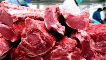 El inicio de 2026 encendió alertas en la cadena ganadera: la actividad cayó con fuerza y la producción no logró sostener los niveles del cierre de 2025. | LMCipolletti.com El inicio de 2026 encendió alertas en la cadena ganadera: la actividad cayó con fuerza y la producción no logró sostener los niveles del cierre de 2025.