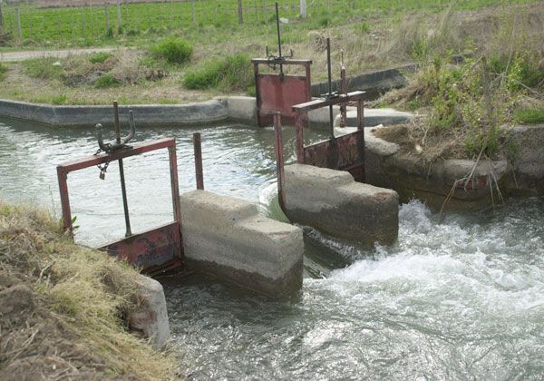 Después de la temporada subirán el canon de riego