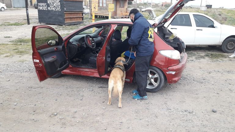 Rocco detectó la droga una vez más.