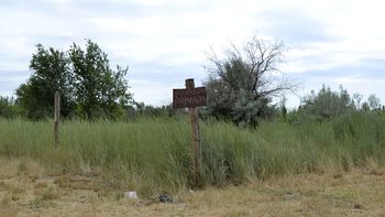 Con multas millonarias, el Municipio de Cipolletti comienza un nuevo y estricto operativo sobre baldíos con malezas.