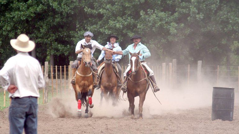 Un domingo diferente con la Expo Caballos del Valle