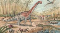 El dinosaurio con enanismo fue descubierto cerca de General Roca.