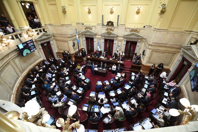 Los rionegrinos deberán renovar la totalidad de representantes en el Senado.