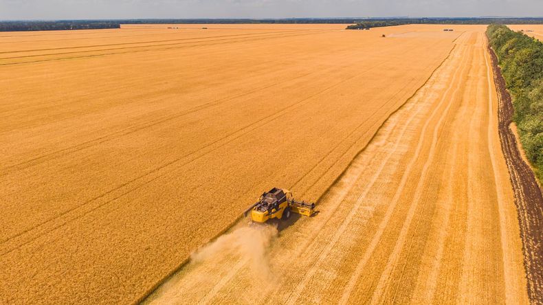 El sector agropecuario comparte protagonismo con complejos que antes tenían un peso mucho menor.