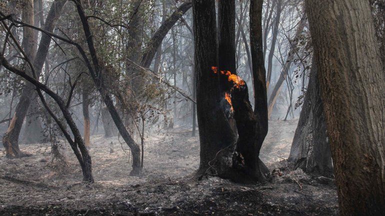 El inmenso incendio consumió gran parte de Cuatro Esquinas