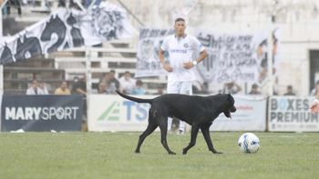 Un perro se metió a la cancha en medio del partido de Cipolletti. No es la primera vez que pasa. Fotos: Anahí Cárdena