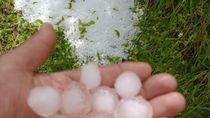 la cosecha de cereza se podria reducir un 50% luego de la tormenta de granizo