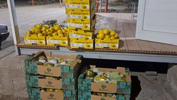 frutas-tropicales.jpg