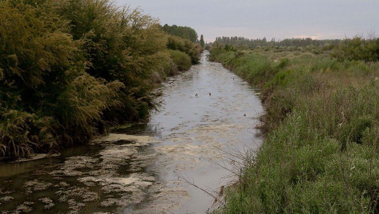 Regantes no limpiarán más gran parte de los canales