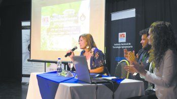 el alto valle abre la puerta a la exportacion de cannabis el alto valle abre la puerta a la exportacion de cannabis