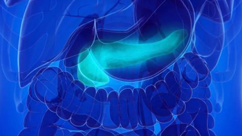 descubren como hace el pancreas para autocurarse