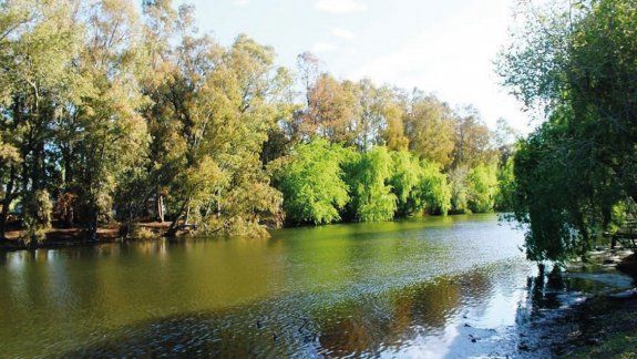 Docente de la UFLO será el curador del primer Jardín Botánico del Alto Valle