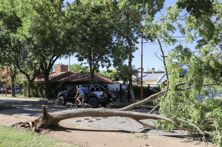 El temporal en la ciudad ocasionó importantes daños en viviendas y espacios públicos.