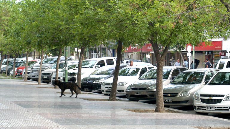 La zona de los bancos alrededor de la plaza es una de las más complicadas para estacionar. Y mucho más desde que los controles no son constantes.