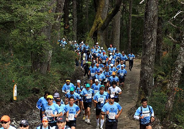 Peroni primera, Reyes cuarto