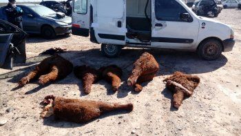 confirmaron golpe a cuatreros que llevaban terneros faenados