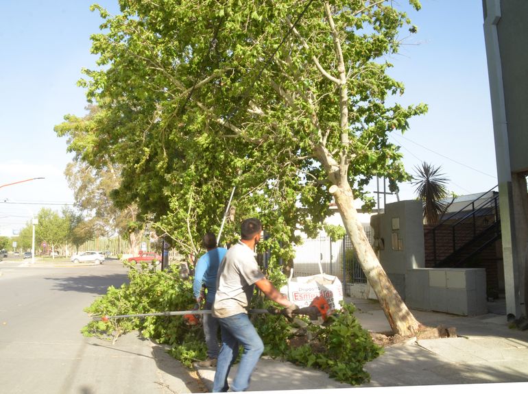 Personal de Protección Civil finalmente resolvió el problema. Antes fue clave el vecino. Foto Antonio Spagnuolo.