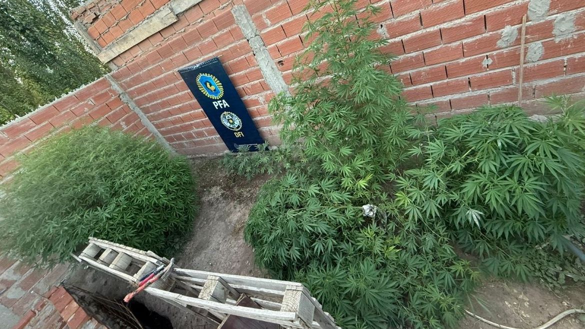 Foto ilustrativa. | LMCipolletti.com Foto ilustrativa.