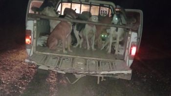 Dos hombres fueron sancionados tras un operativo de efectivos de la Brigada Rural. Foto: Gentileza.