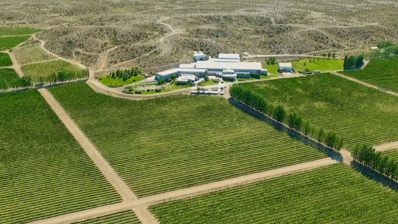 Bodega Schroeder, una de las bodegas emblemáticas de la Patagonia.