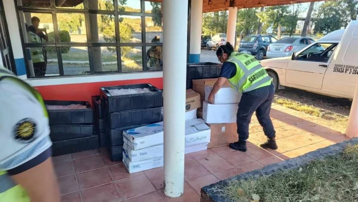 El joven traía más pescado del habilitado por el Senasa rumbo al Alto Valle. Foto: gentileza.