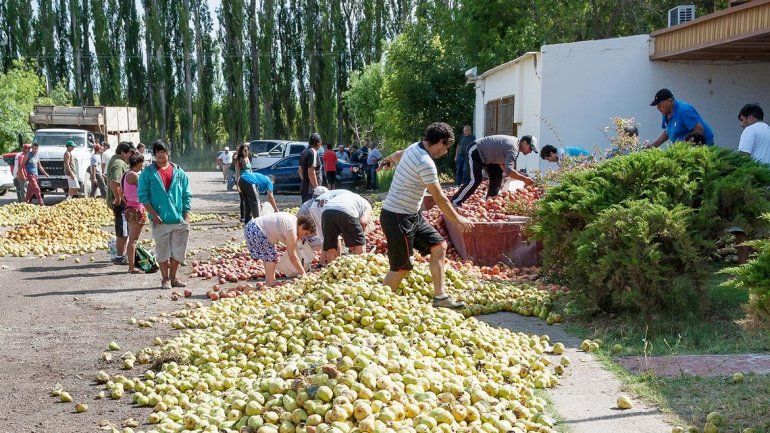 Los chacareros volverán a regalar fruta