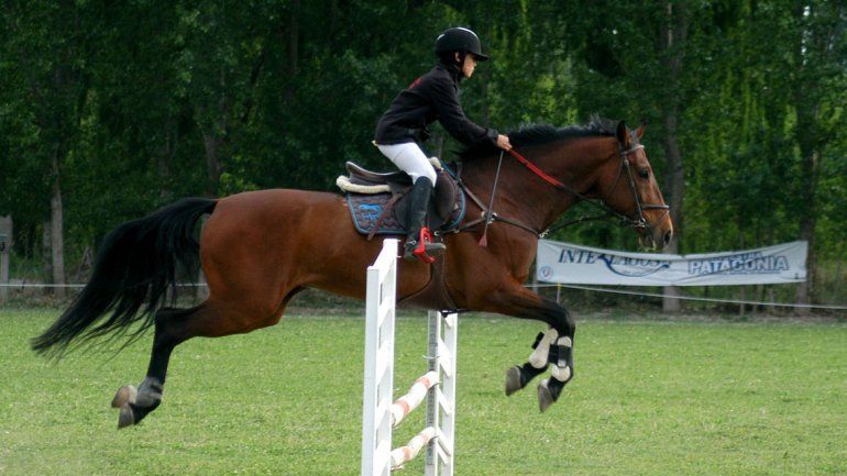 Un domingo diferente con la Expo Caballos del Valle