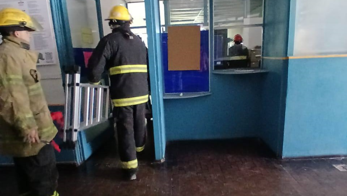 Bomberos de Roca fueron alertados y acudieron al lugar.