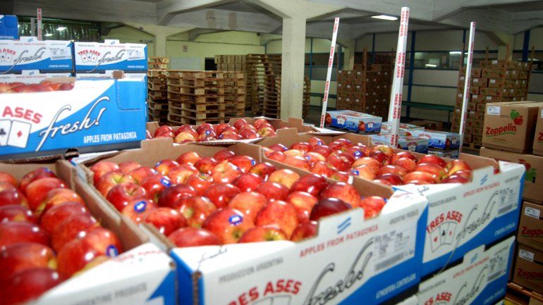 Las frutas del Alto Valle pierden terreno en el mercado internacional.