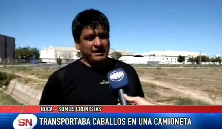 Trasladó a sus caballos en un flete en la desesperación por salvarlos