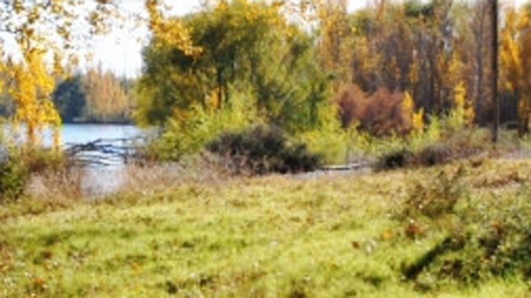 Aclaran que no existen loteos autorizados para la venta sobre la margen sur