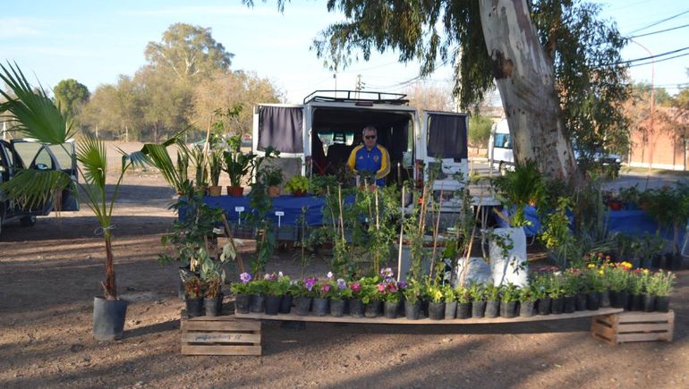 Los viveristas denuncian que cada fin de semana, las ferias de la ciudad ofrecen variedad de frutales y plantas sin controles.