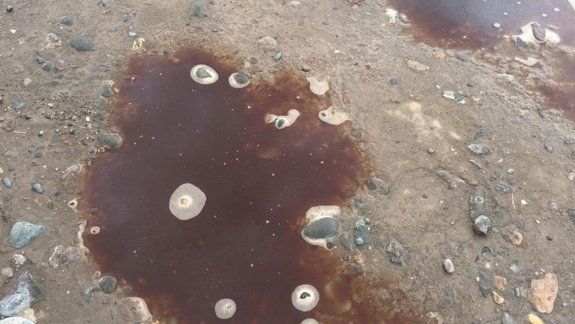 Detectan un camión arrojando extraños líquidos en las calles