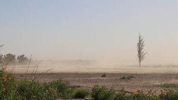 el tiempo para hoy: el frio y el viento fuerte llegan al alto valle
