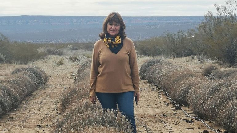 “Las lavandas tienen una magia especial”