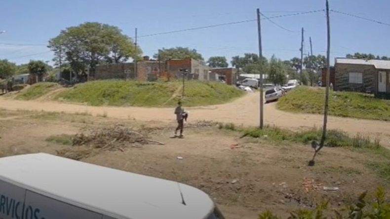 Uno de los perros cayó al suelo y comenzó a convulsionar tras el ataque. 