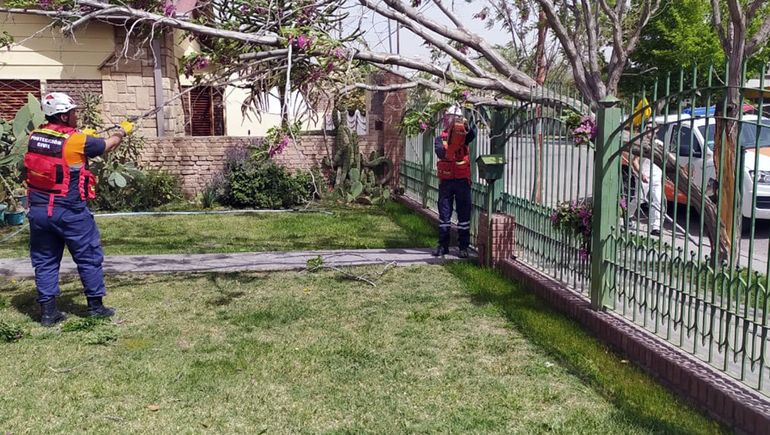 Hubo una veintena de asistencias en Cipolletti por la tormenta de viento