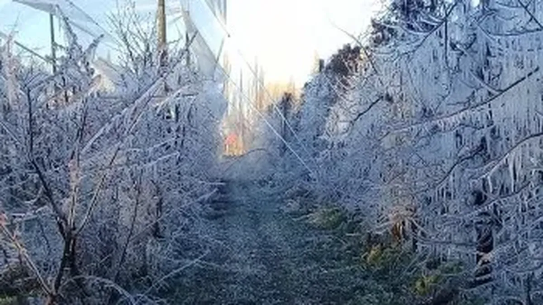 Bajas temperturas se registraron en toda la región del Valle.