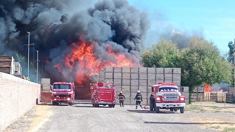 Terrible incendio en Allen: Se quemaron cientos de cajones bins en un frigorífico