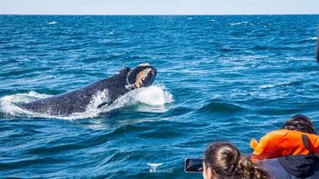 Un show único el de Las Ballenas en Las Grutas.