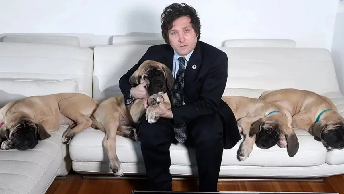 Javier Milei y los perros, un tema que trae bastante polémica.