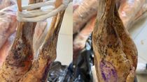 Continúan los decomisos de carne en comercios: llevan secuestrados más de 1300 kilos en Cipolletti. Continúan los decomisos de carne en comercios: llevan secuestrados más de 1300 kilos en Cipolletti.