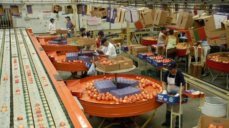 Se viene la cosecha y la paritaria de la Fruta no avanza