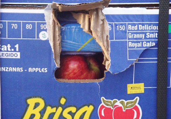 Más arrestos por Manzanas Blancas