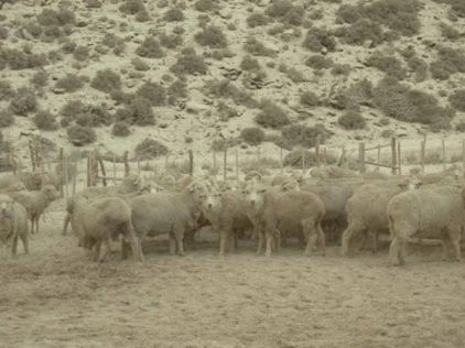 Se reúne la Federación de Sociedades Rurales de Río Negro