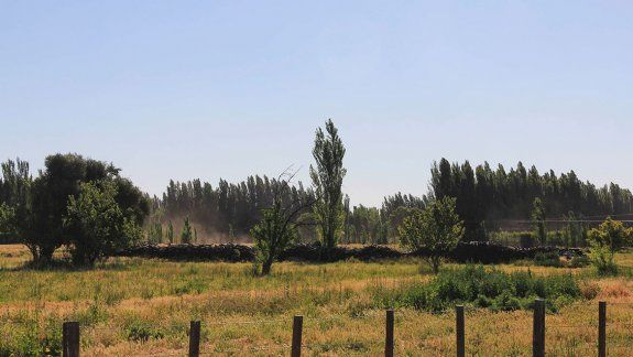 Resistirán las multas a las chacras abandonadas