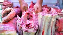 la justicia cerro la barrera y por 30 dias no entrara asado con hueso