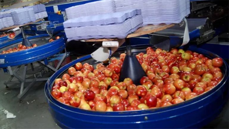 Sufrió una lesión en un galpón de empaque y será indemnizada con una suma millonaria