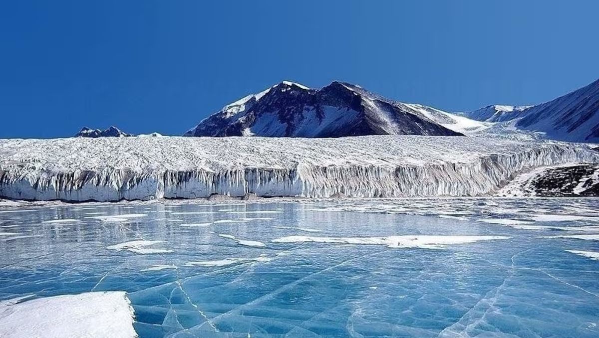 La ciencia está en shock por descubrimiento en la Antártida