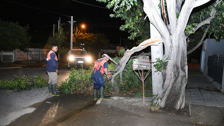 En fotos, los daños que provocó en Cipolletti la furiosa tormenta